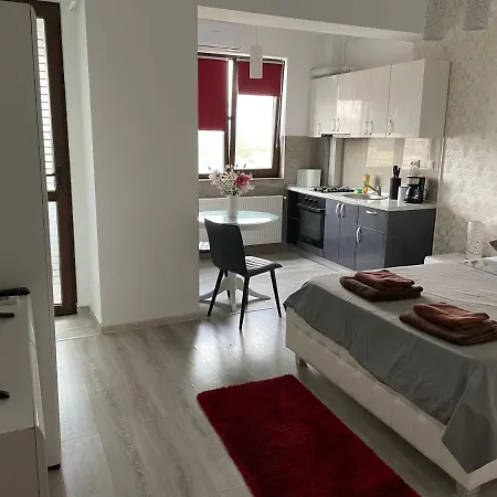 No. 110 / Downtown Apartment Iasi Exterior photo