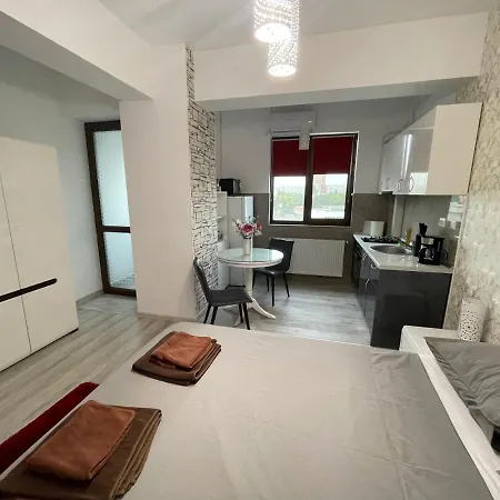 No. 110 / Downtown Apartment Iasi Exterior photo