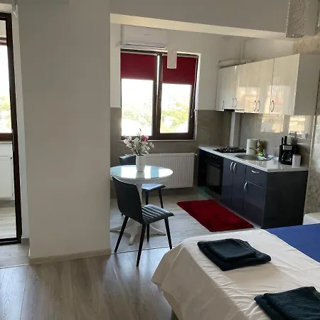 No. 110 / Downtown Apartment Iasi Exterior photo